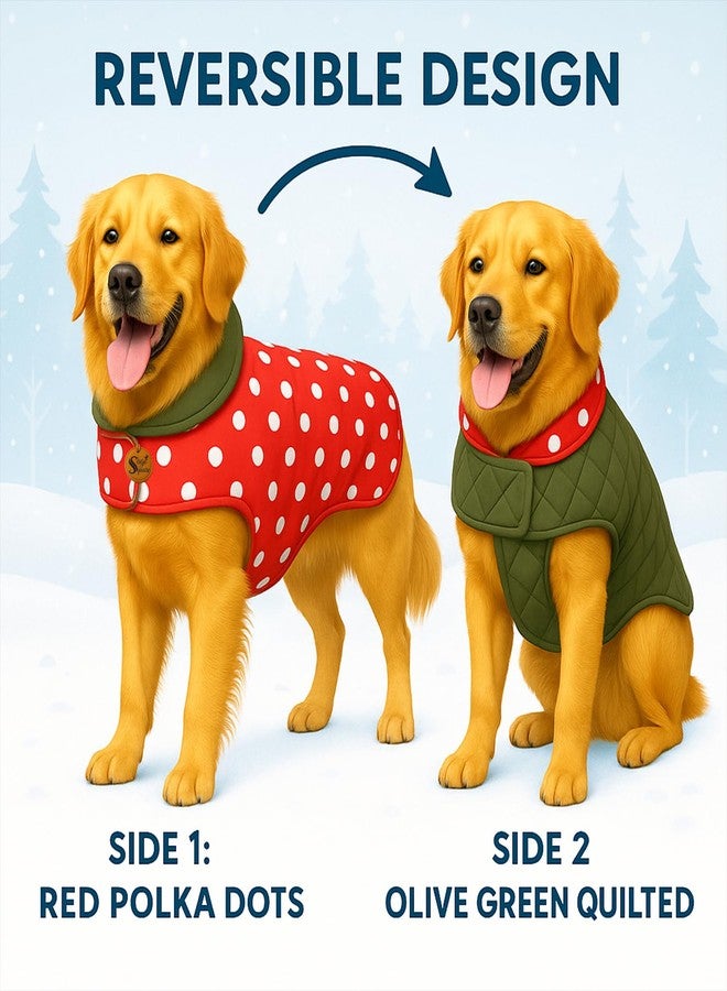 Sage Square Dual-Sided Polka Dot Dog Jacket - Protective Cold-Weather Gear for Pets, Lightweight, Cushioned, Designed for Warmth & Comfort Indoors or Outside (Polka Red, M - 16 Inch) - Image 3